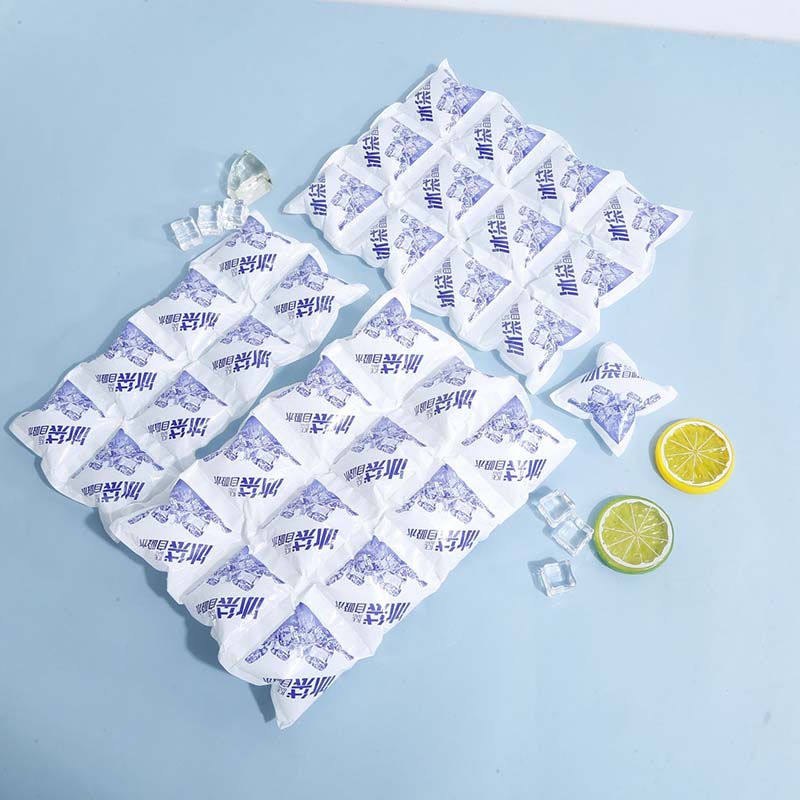 Wholesale 6 12 24 Cell Dry Ice Packs Freezer Reusable Ice Packs for Food Transport Shipping Ice Sheet Pack Keep Food Fresh