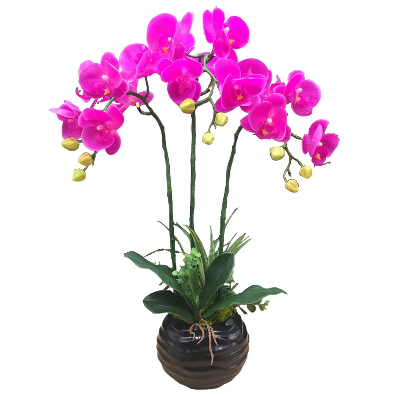 Newish Indoor Decoration Real Touch PU Artificial Flower Big Moth Orchid with Warm White LED Bead ODM support