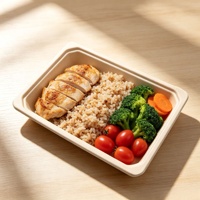 Assiette de service alimentaire en bagasse de canne à sucre, biodégradable, compostable, écologique, vaisselle jetable, solutions pour les cantines scolaires et de bureau