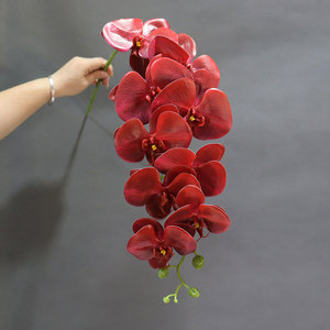 <span class=keywords><strong>Orchidea</strong></span> Phalaenopsis <span class=keywords><strong>Artificiale</strong></span> Grande 90cm con 9 Fiori, Effetto Realistico, per Decorazioni Casa, Matrimoni e Palcoscenici - Product Image 1