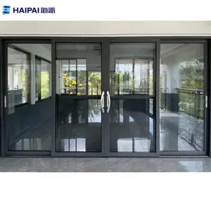 Haipai entworfen Raum graue Farbe Aluminiumlegierung Profil Doppelglasboden Schiebefenster französische Türschleife