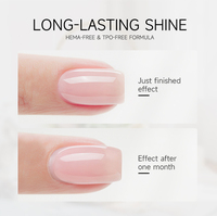 Gel UV professionnel de haute qualité sans HEMA ni TPO, à séchage rapide, pour ongles, en bouteille, fournisseur d'onglerie, marque privée OEM/ODM
