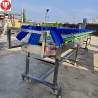 Trieuse automatique de poids Machine de classement pour fruits pomme de terre mangue volaille poulet entier canard oie ailes pieds pattes poisson