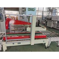 Machine de conditionnement et de comptage pour gobelets et bols en papier et plastique TINCHIN