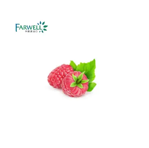 Farwell Synthetic Raspberry ketone with high purity 98% Food Grade