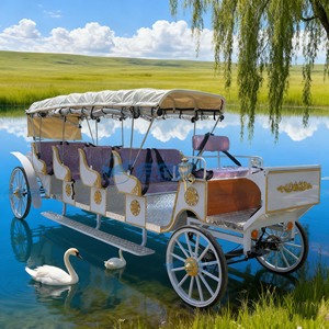 Carruaje Eléctrico de Lujo para 11 Pasajeros, Diseño Vintage de Cuatro Ruedas, Cubierta con Toldo Personalizable, Vehículo Turístico Multiplaza - Product Image 1