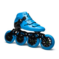 Patins à roulettes professionnels à 4 roues, portables, pour adultes