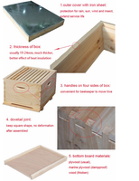 Boîte de ruche Langstroth d'apiculture de qualité supérieure imprégnée de cire d'abeille, 10 compartiments, ensemble complet