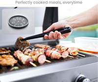 Gril à gaz portable à 2 brûleurs en acier inoxydable-Réchaud de camping pour barbecue extérieur avec utilisation de pique-nique