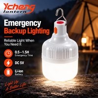Ampoule LED rechargeable pour le camping, 40W, lampe de tente portable avec crochet pour la maison, alimentation de secours en cas d'urgence