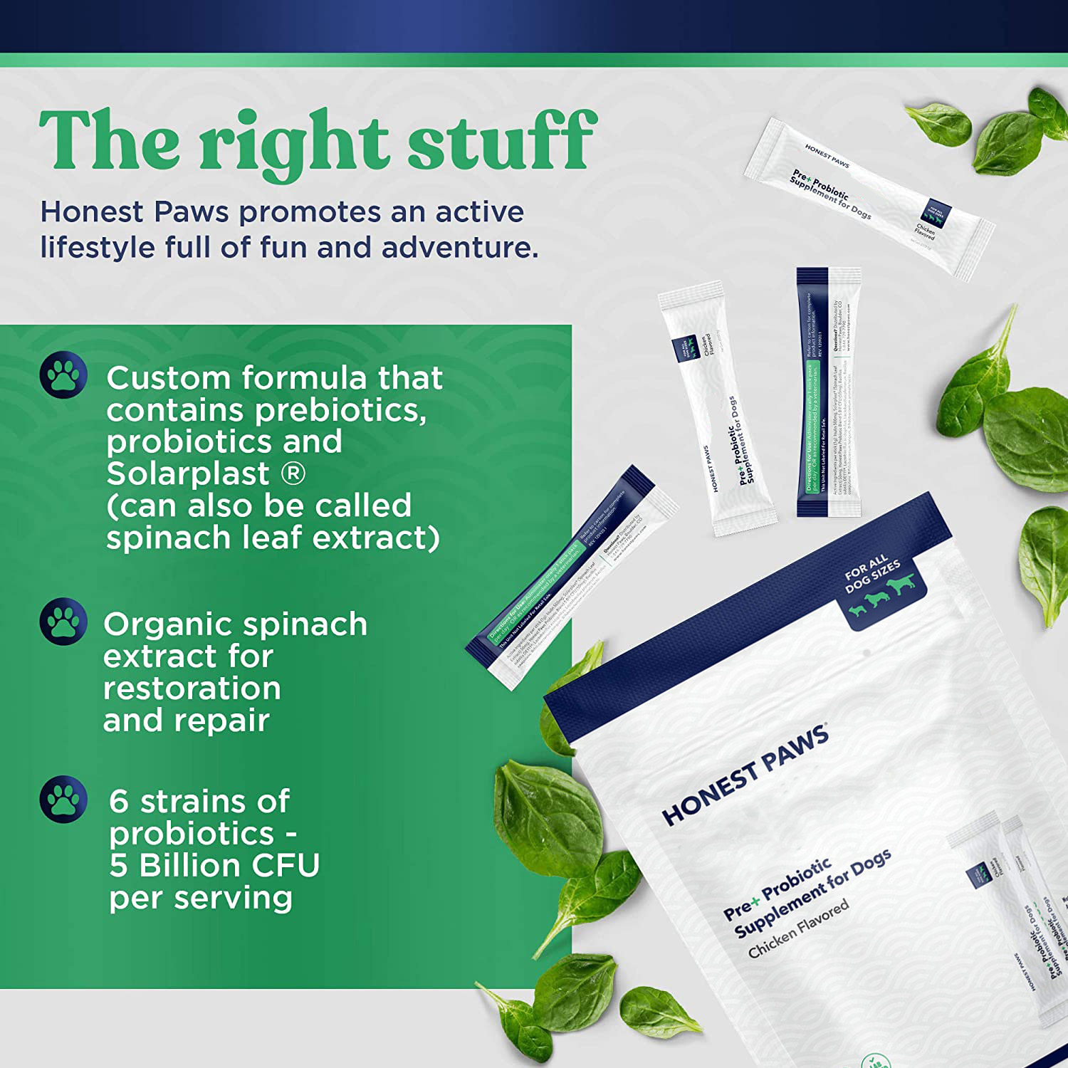 Organic Six High Content Probiotics Prebiotic Powder Dog Immune Supplements