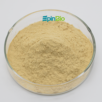 Poudre de levure enrichie en zinc de haute qualité 2000 ppm, qualité alimentaire, extrait végétal, supplément, 40 % de protéines, 80 mesh, emballée en fût