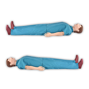Maniquí de Entrenamiento de RCP para la Enseñanza en Escuelas de Medicina, Modelo de Cuerpo de PVC para Entrenamiento de Primeros Auxilios Yulin YL05011-810A, Traje Azul, 16 kg - Product Image 2