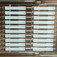 Lentille optique durable avec garantie d'un an pour endoscopes rigides, verre à haute transmission