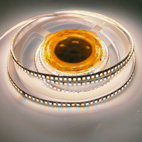 Bande de Led bicolore DC 12V 24V Smd 2835 3000K-6500K 120Leds 240Leds CCT Dimmable Flexible Blanc Chaud Smart CCT Led Strip Light