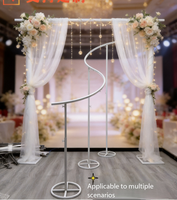 Arche de mariage spirale transparente en forme de S RHD, support de rideau, cadre de toile de fond en métal blanc pour décoration de photomaton rustique