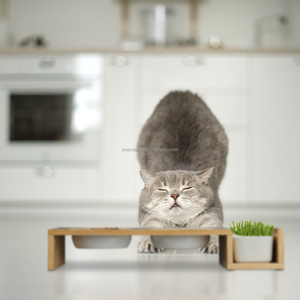 Bán buôn xách tay thép không gỉ & tre 2-in-1 vật nuôi bát đôi Dog & Cat Feeder với khung gỗ thường vụ cài đặt - Product Image 3