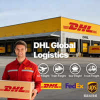 China Versandagentur DHL UPS Express nach Europa und Amerika Doppelte Zollabfertigung Steuern See- und Luftfracht USA CA IT AU FR DE VAE Marokko