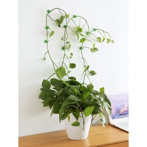 Plant Fixing Device For Pothos Climbing Vines Wall Mounted Self <b>Adhesive</b> Non Marking Indoor Plants Plastic <b>Hooks</b> - Product Image 1