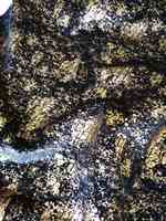LIXIANG 100% Polyester Bronzing Marocain Canapé Tissu Rouleaux Tissu Canapé Haut Gsm