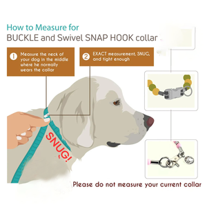 Collar Durável Diário Luxo Casamento Cão Jóias Fantasia Cão Trela Personalizado-Sized Leash-Safe Cão Pérola Colar Frisado - Product Image 6