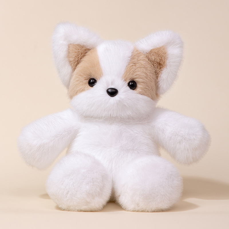 Corgi