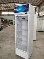 Réfrigérateur pour boissons, vitrine réfrigérée, refroidisseur, vitrine réfrigérée à porte vitrée