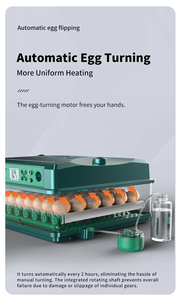 Incubateur à <span class=keywords><strong>Oeufs</strong></span> de Canard Neuf à <span class=keywords><strong>Prix</strong></span> Bas, 200 <span class=keywords><strong>Oeufs</strong></span>, Retournement Automatique, Taux <span class=keywords><strong>d</strong></span>'Éclosion Élevé, Taille Moyenne - Product Image 4