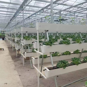 <strong>Large</strong> Automatic Strawberry Growing System with PVC <strong>Plant</strong> Growing <strong>Trough</strong> and Glass Cover for Garden or Greenhouse - Product Image 3
