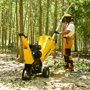 AUSTTER desain baru penghijauan lingkungan menggunakan 6,5hp bensin Mini Towable limbah Log Cabang mesin penghancur kayu - Product Image 2