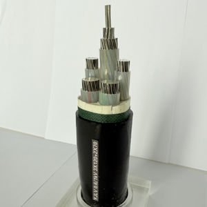 Câble d'alimentation en cuivre à faible tension Xlpe 4/5 à noyau commercial direct d'usine pour la construction domestique et de bâtiments - Product Image 1