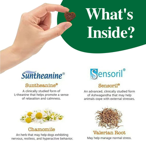 Masticables Suaves Calmantes para la <span class=keywords><strong>Ansiedad</strong></span> por Separación, Suplementos Naturales Suaves para el Cuidado de la Salud de Perros, Masticables Suaves Calmantes - Product Image 4