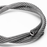 Câble en acier pour ouverture de porte d'ascenseur 10 mm à prix compétitif, câble métallique pour porte d'ascenseur