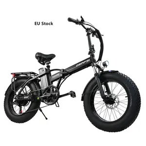 2024最佳质量远程新款DZ2002 Ebike可折叠电动自行车48v 500W 250 w fatbike 250瓦