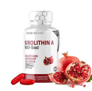 原始设备制造商Urolithin A补充剂Nutri Urolithin A NAD + Boost胶囊用于细胞修复支持健康衰老和能量