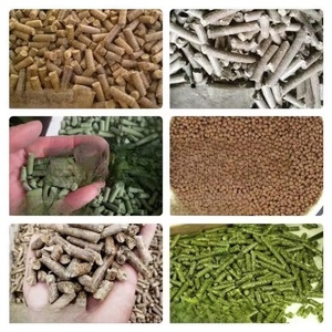 Máquina Peletizadora de Alta Productividad para Alimento de Peces y Aves de Corral, para Uso Doméstico en la Producción de Alimento para Cerdos - Product Image 4