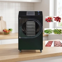 Lyophilisateur domestique moderne à 10 plateaux pour fruits, légumes et viande, en acier inoxydable 304, pour séchage par congélation sous vide, autres applications de jardinage