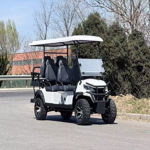 Carrito de Golf de 4 Plazas a Gasolina, Buggy Todoterreno, Carro de Golf para Estados Unidos - Product Image 4