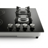 Cuisinière moderne à induction et gaz 2 feux, gaz naturel, classe A en termes d'efficacité énergétique, usage domestique, allumage électrique