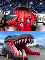 Tête de requin gonflable publicitaire Bingo, bouche de requin, amusement, tunnel de requin gonflable géant personnalisé pour les événements, exposition