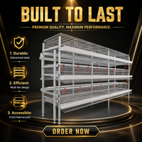Système de cages automatiques pour poules pondeuses en acier galvanisé pour l'élevage avicole