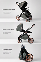 Poussette Bébé Luxe 2-en-1 Pliable Légère en Aluminium avec Siège Élevé Vente en Gros Logo Personnalisé OEM