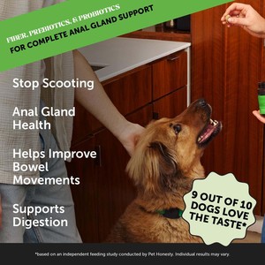 Tierarzt Hund Scoot Stopper Mit Probiotika Präbiotische Kürbis faser Hühner geschmack Haustier Ergänzung Hund Probiotika gegen Durchfall - Product Image 3