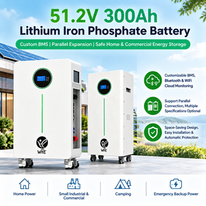 Batterie lithium LiFePO4 murale hybride/hors réseau 51,2 V 280 Ah 14,3 kWh avec BMS pour stockage d'énergie solaire domestique et alimentation de secours UPS WHE - Product Image 4