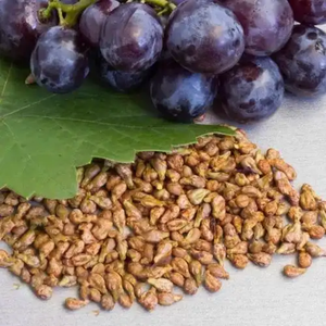 Huile de pépins de raisin naturelle/Huile de pépins de raisin pressée à froid en vrac/Huile de pépins de raisin pour la cuisine, l'huile corporelle et le massage - Product Image 3