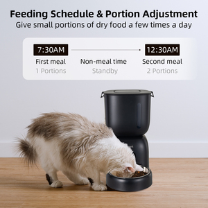Petwant pemberi makan hewan peliharaan, 3L terlihat bebas BPA <span class=keywords><strong>4</strong></span> makanan anjing kucing penyimpanan gandum Dispenser waktu otomatis - Product Image 4