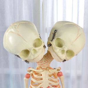 Medical Teaching Model Halloween Decoration <strong>Baby</strong> <strong>Skeleton</strong> Model 2-Headed Fetal <strong>Skeleton</strong> Deformity Newborn Infant <strong>Skeleton</strong> Model - Product Image 5