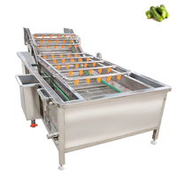 Washing Machine for Vegetables and Fruits Brush Vegetable and Fruit Cleaning Machine Fruit Washing Machines apple