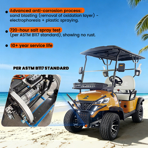 Voiturette de golf électrique 2 places très vendue, de haute qualité, avec batterie 48V, buggy touristique économique - Product Image 3