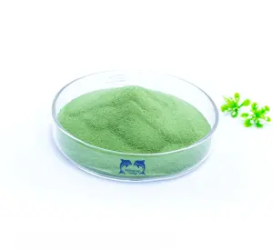 Foliar fertilizer 40% Alginic Acid Green Seaweed Extract Ascophyllum Nodosum super quality raw material